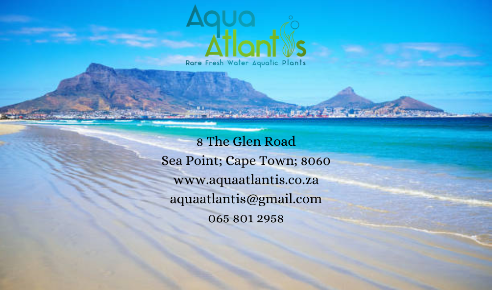 AquaAtlantis