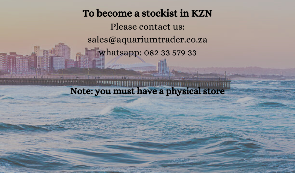 To become KZN