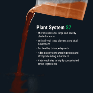 4828 Plant System Set
