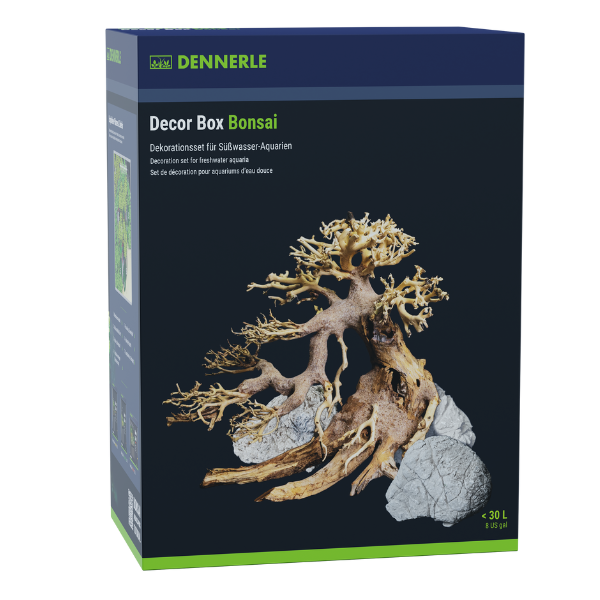 4029 Decor Box Bonsai 1 4029 Decor Box Bonsai