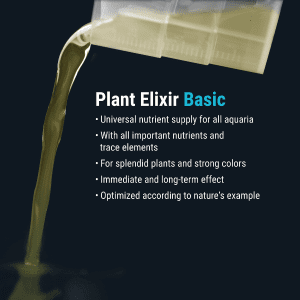 Plant-Elixir-Basic-250ml-DEN.4800