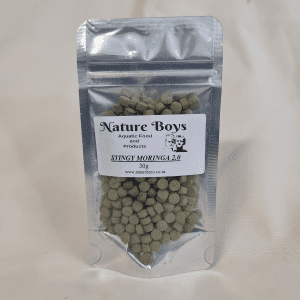 Stingy Moringa 2.0